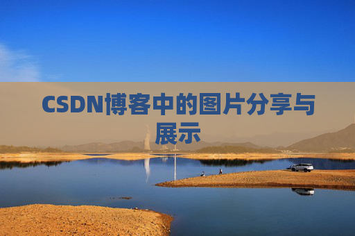 CSDN博客中的图片分享与展示